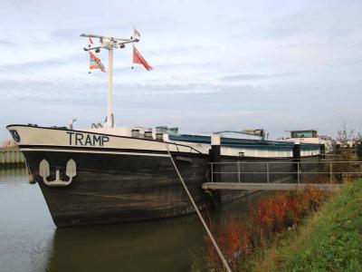 Tramp